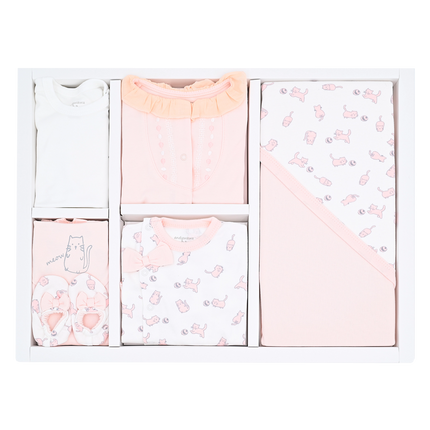 Blush and Cream 10pcs Newborn Cat Set